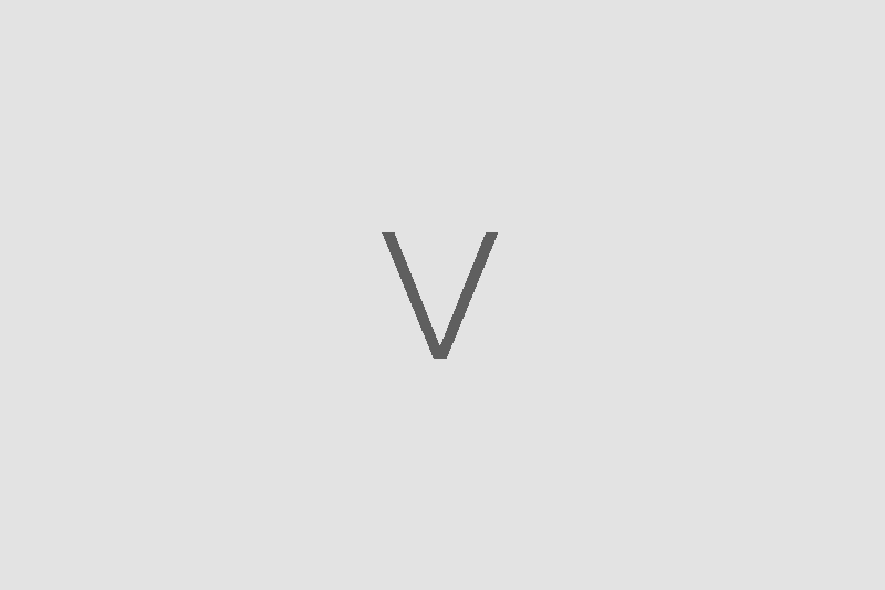 vidas shop